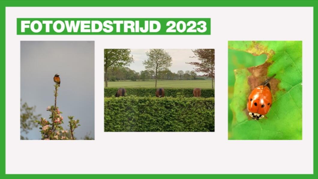 fotowedstrijd