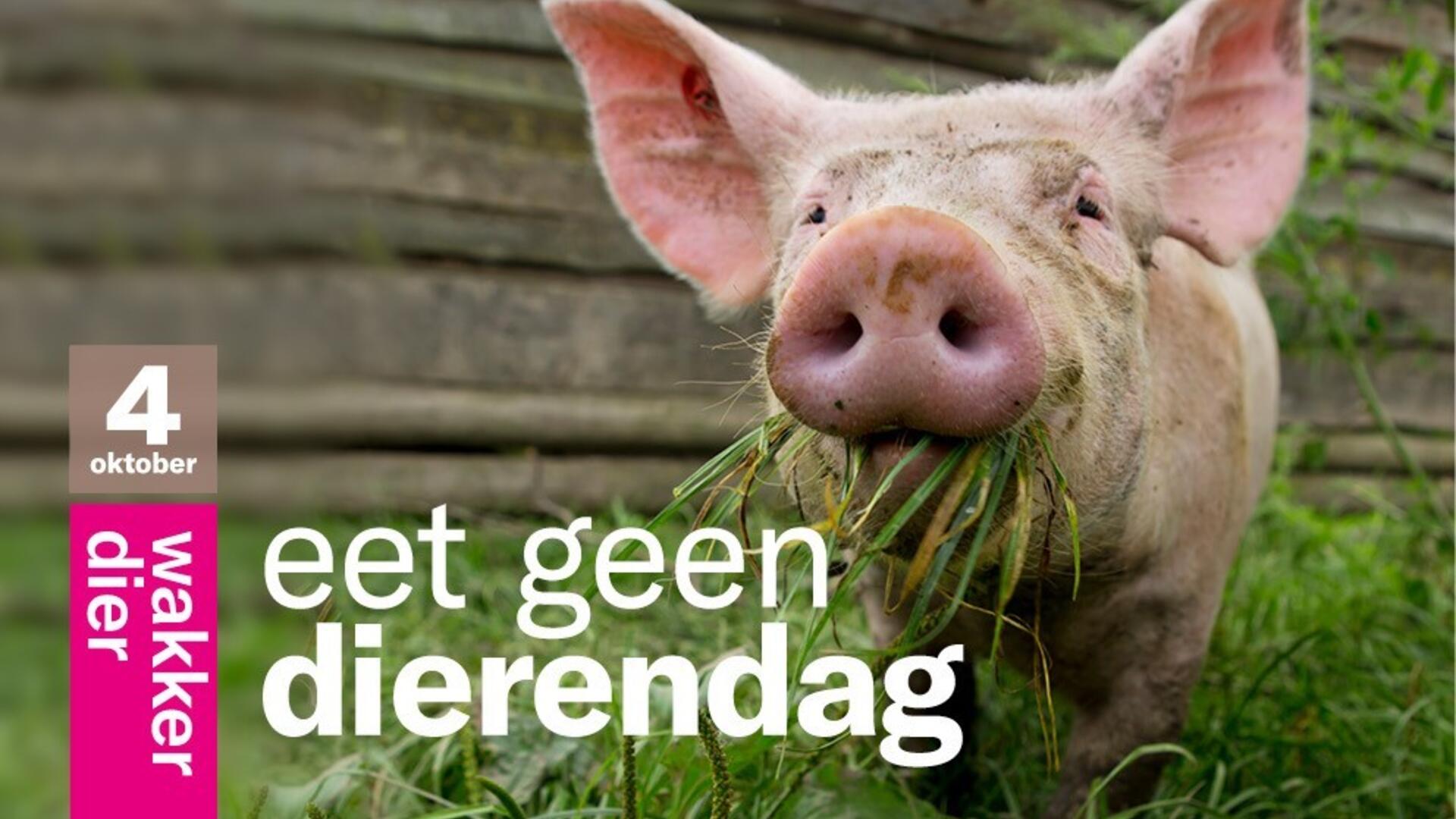 Eet geen Dierendag 4 oktober Wakker Dier