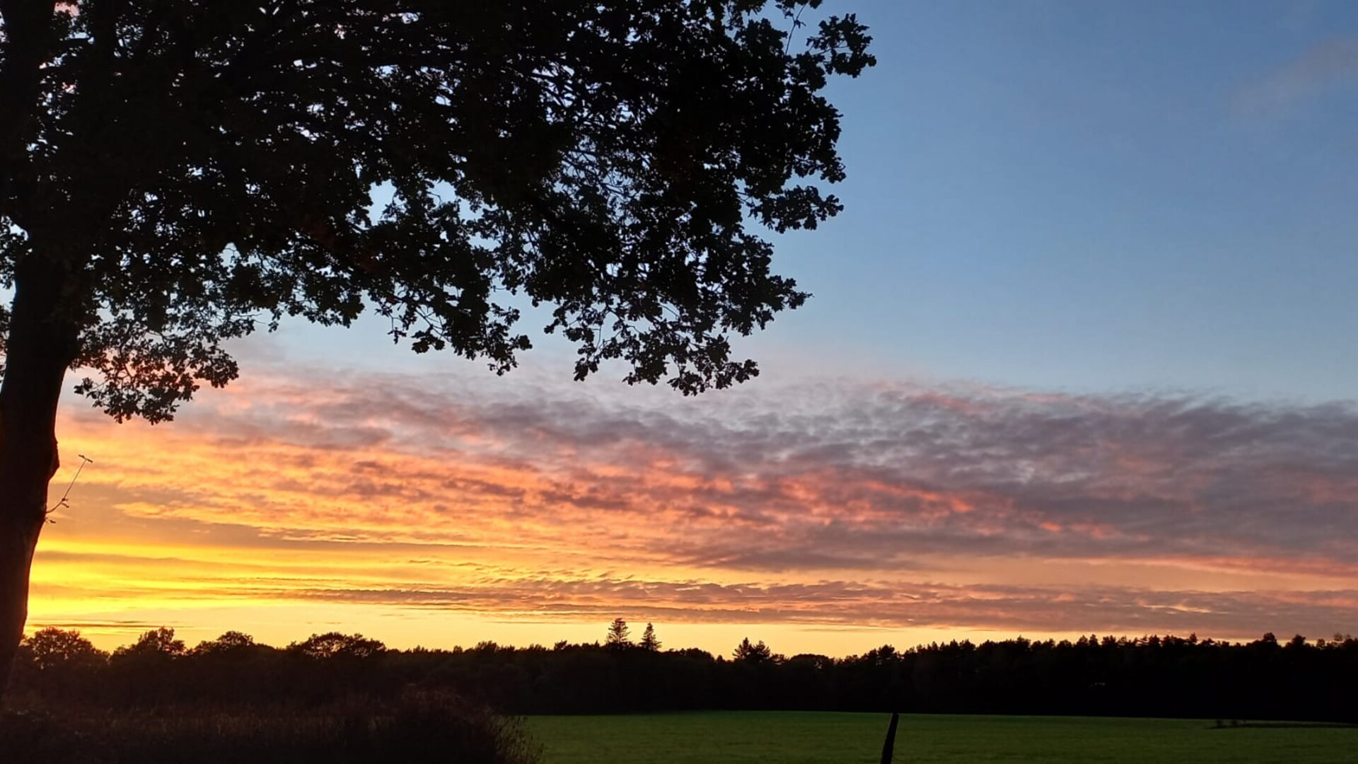 Rode lucht, ondergaande zon